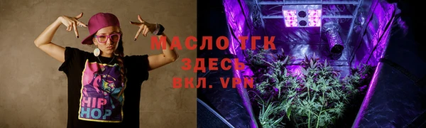 гидра Коряжма