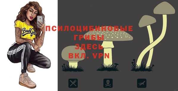 гидра Коряжма