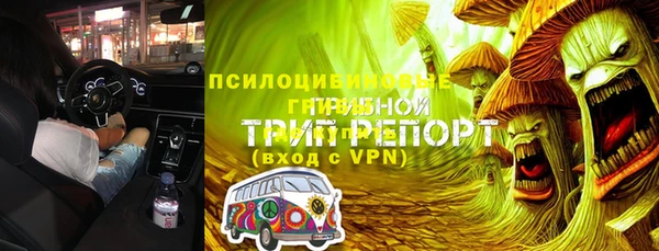 молекула духа Ессентукская