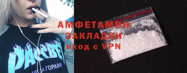 гидра Коряжма
